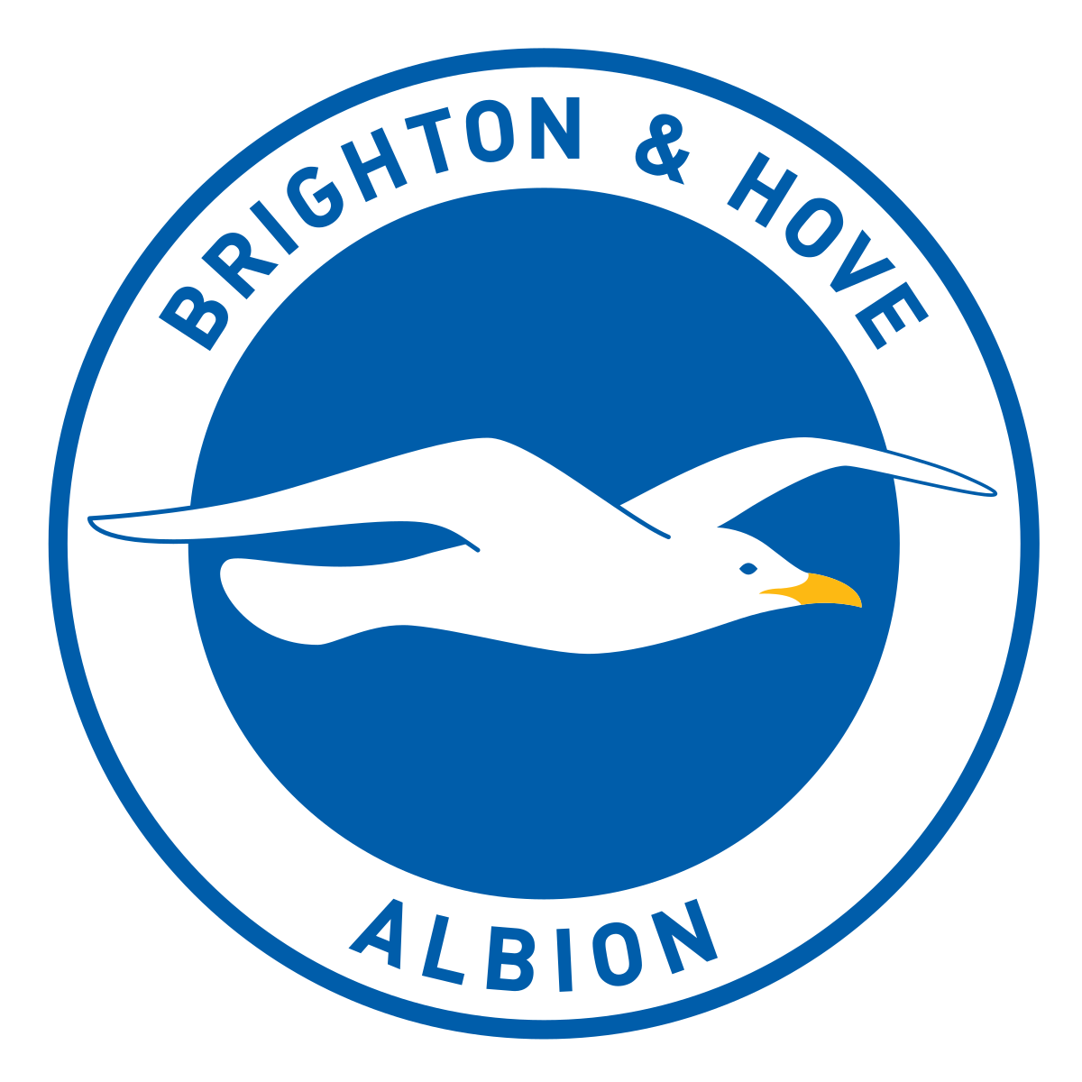 Provoli Sports - Brighton & Hove Albion