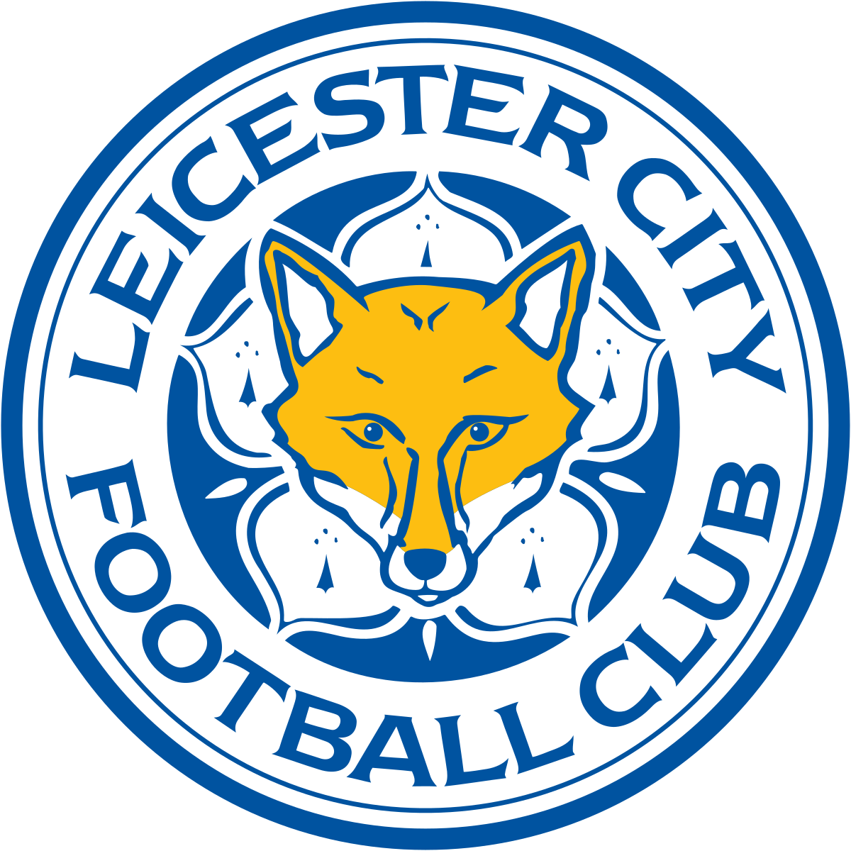 Provoli Sports - Leicester City